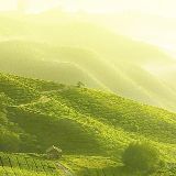 旅途上的人与事