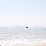 未来的路自己走