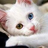 梁熙寿的宅女生活