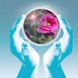 夫妻间的那些事