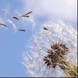 我不愿就这样失去