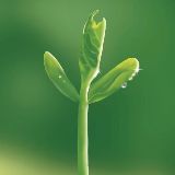 我是日常小注意