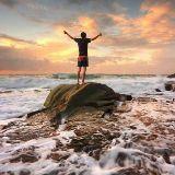 幸福快乐的小叶