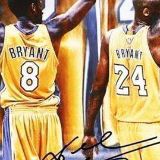 三花和他的朋友们