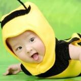 小宝宝成功宝典