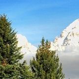 默默娱乐小分队