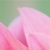 水雪萍喜欢娱乐