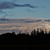 都关灯了更好吃