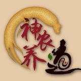 神农养之道