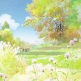 水煮鸡蛋的娱乐