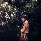 寻梦芦苇