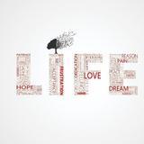 巍哥的民间名人堂