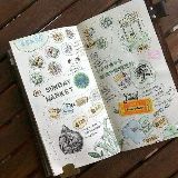 丢丢带你看我的时尚笔记