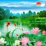 诗绿凤细讲红楼梦