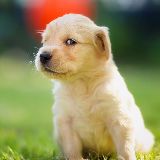 一枚资深娱乐民工