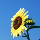 满场娱乐小分队