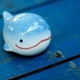 奇趣研究所