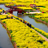 银刘银说趣事儿