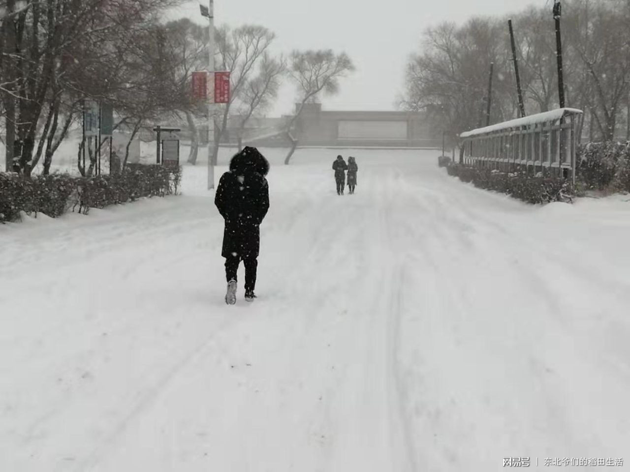 一个人走在去公园的路上,我以为大雪天没有人回来公园,我想错了