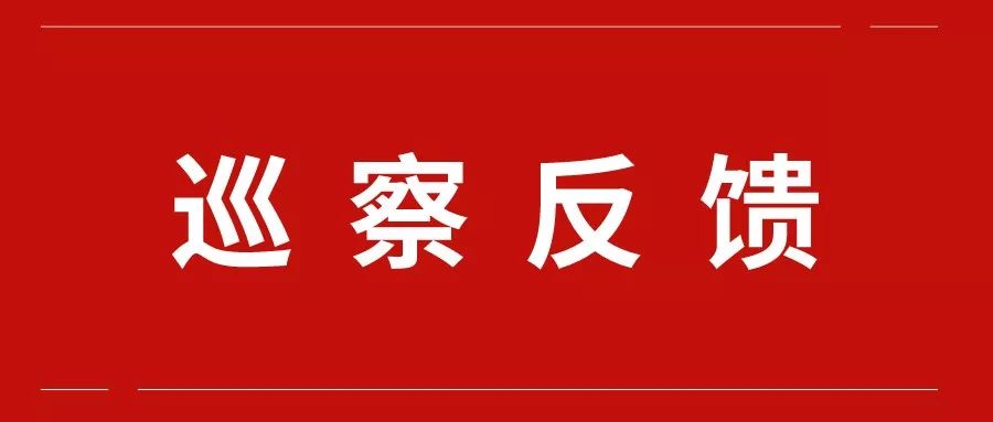 关注!达州市委巡察组向三家单位反馈巡察情况