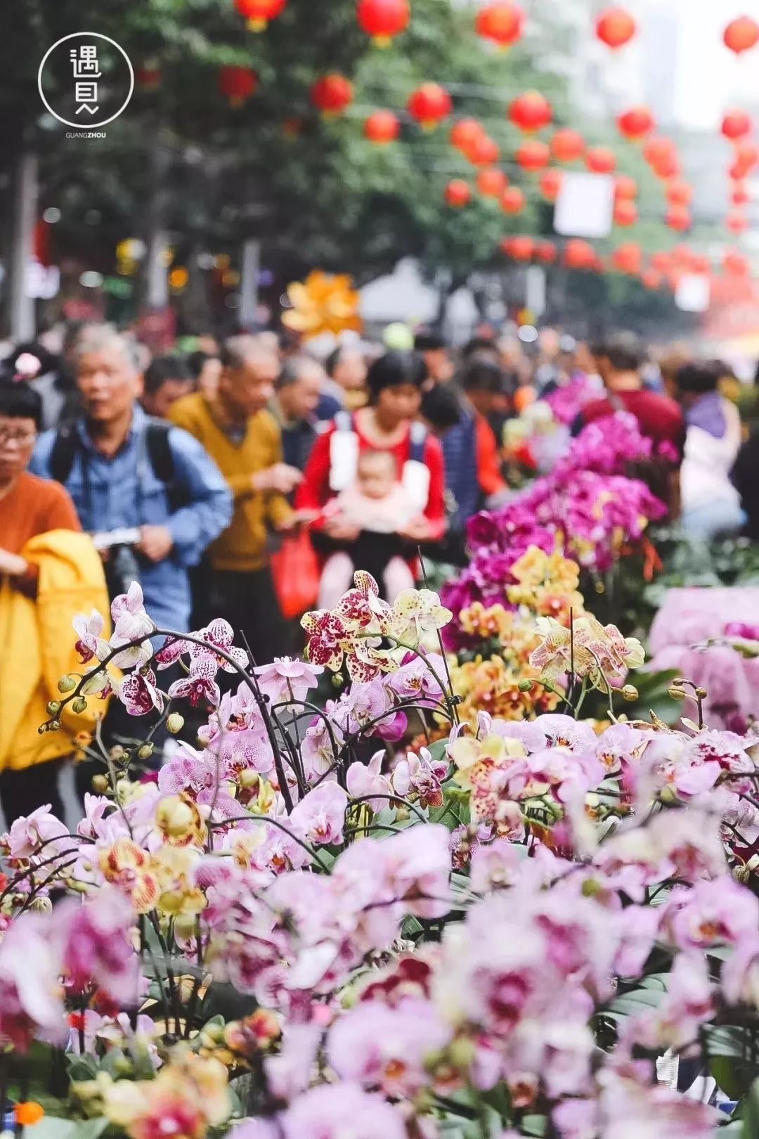 2020广州迎春花市,你想知道的时间,地点,都在这里