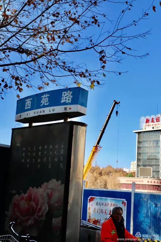 洛阳西苑路图片