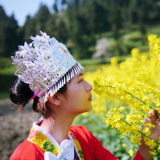 龙梅梅