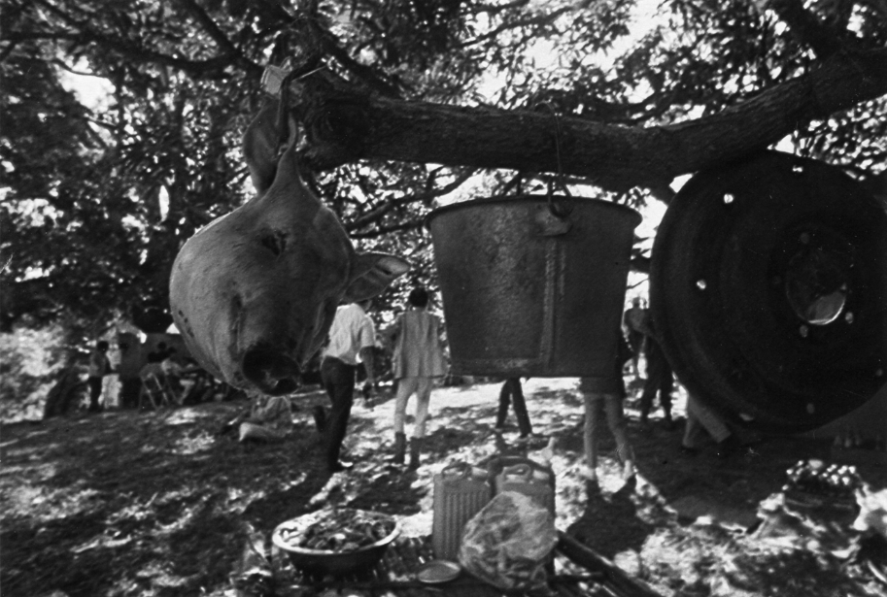 小野田打游击30年，吃遍菲律宾野味不生病？