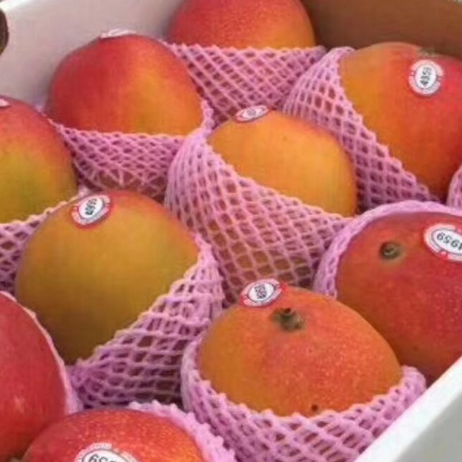 沪漂水果创业人