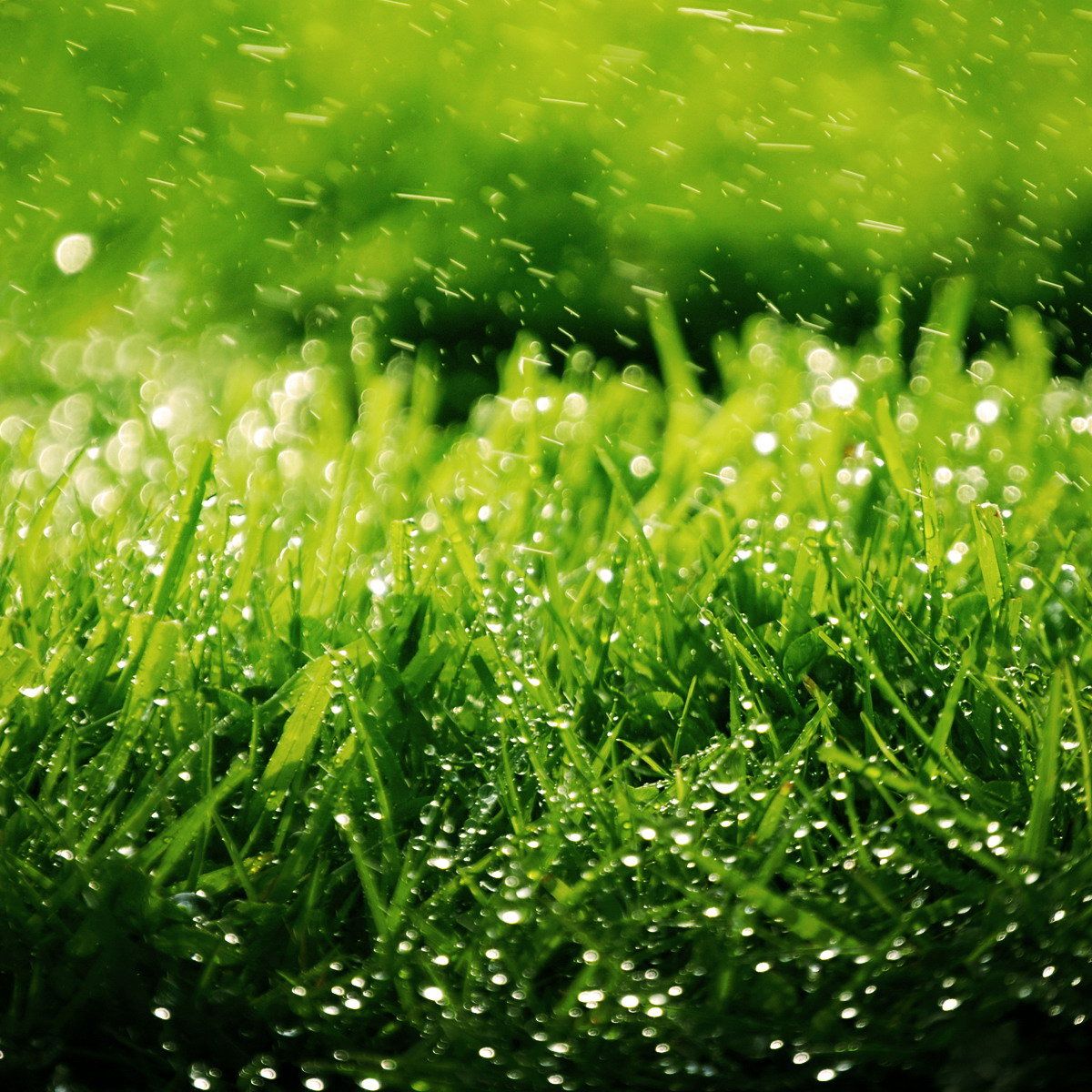 华乐雨辰