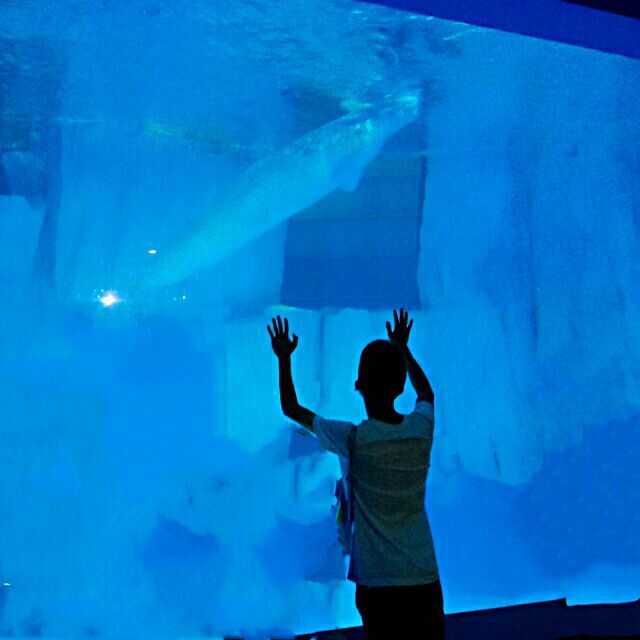 这一片繁华的热度