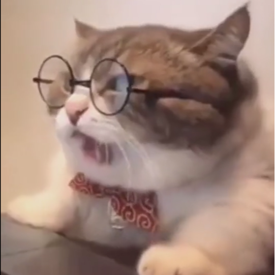 昼夜颠