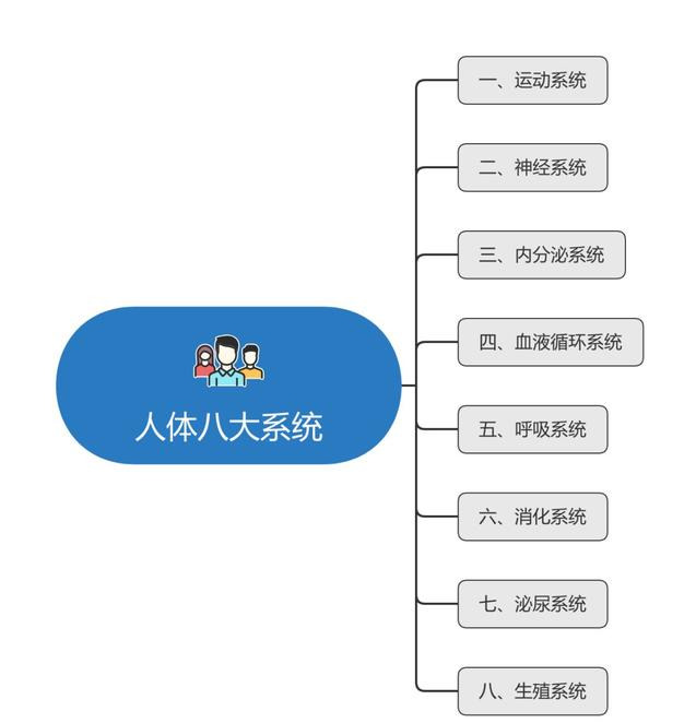 赵贤文人体关系图收藏