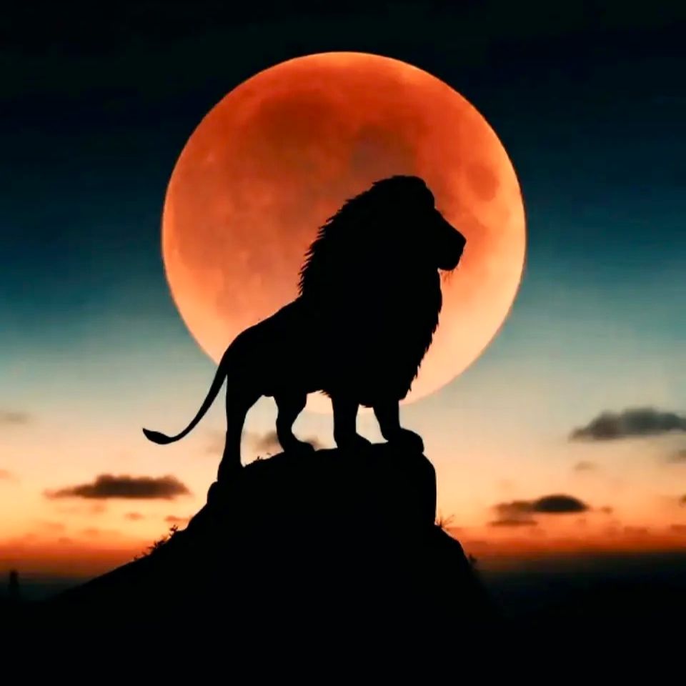 蹁跹在文娱的花苑