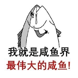 盐度过高的咸鱼