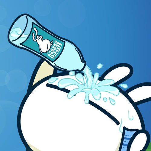 不会开车的兔司机