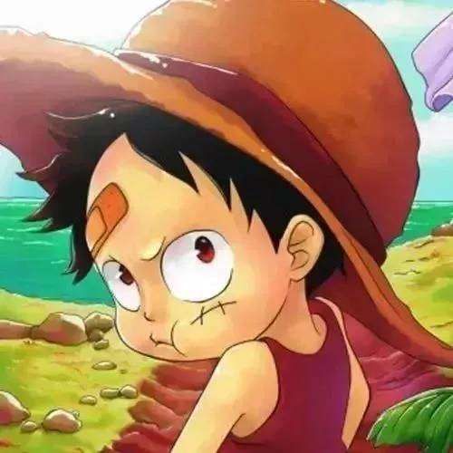 瓶瓶和罐罐体育