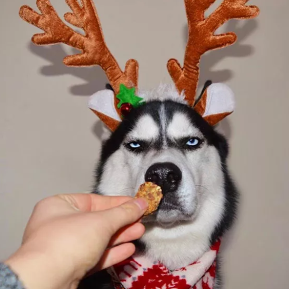 经典影视大咖汇