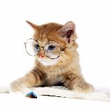 自动化行业小分享