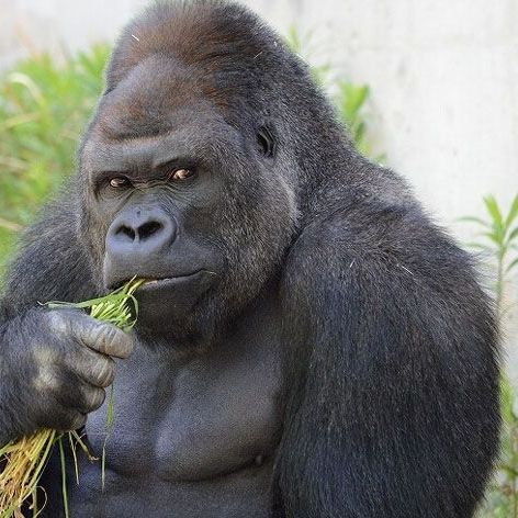 猴弟的渔乐人生