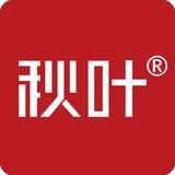 秋叶word