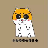 木得感情的猪儿虫