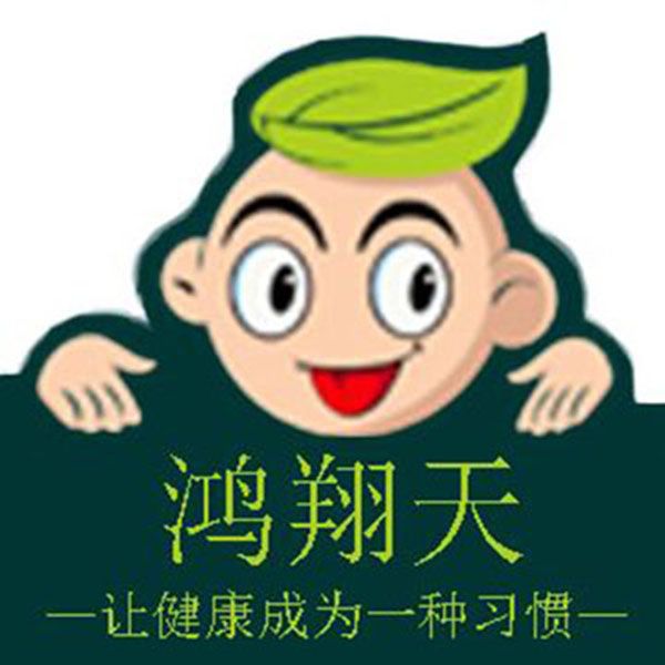 鸿翔天记