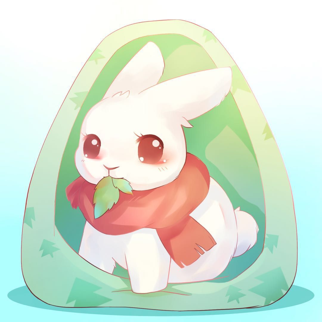 森林有只窝窝兔