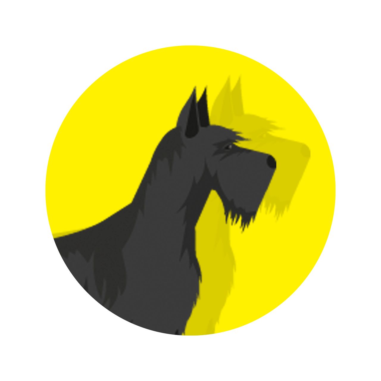 宠物的有趣时光