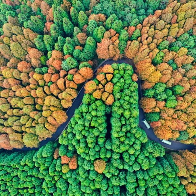 红色毒药
