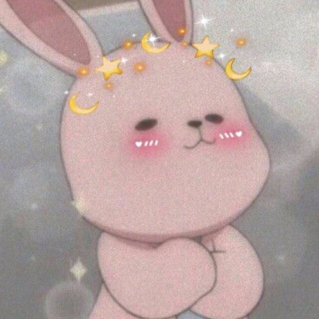 大西洋里的小水母