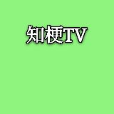 知梗TV