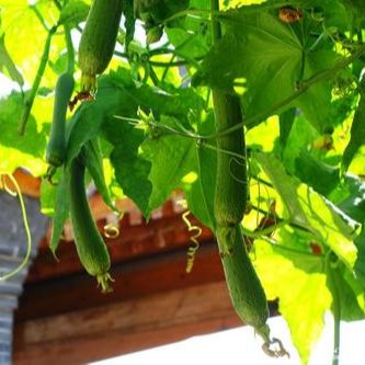 我掌管着我的青春