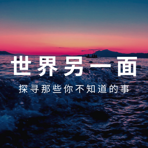 世界另一面OtherSide